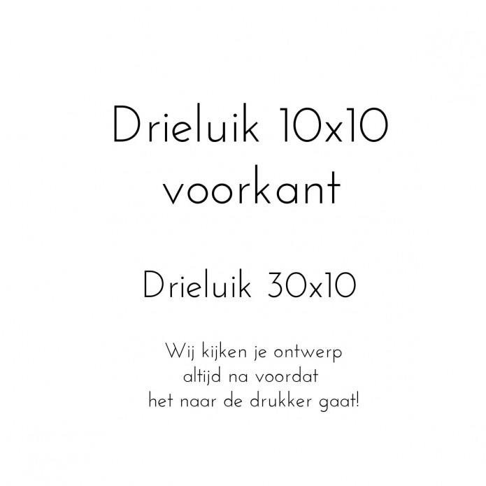 30x10 (Drieluik)