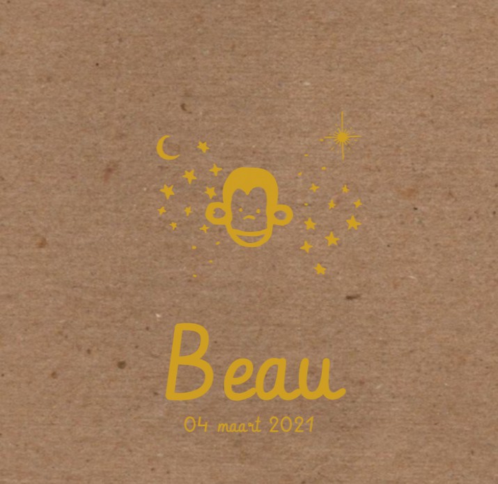 Geboortekaartje aapje goudfolie - Beau