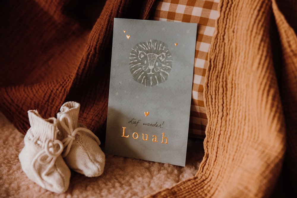 Geboortekaartje met leeuw - Louah