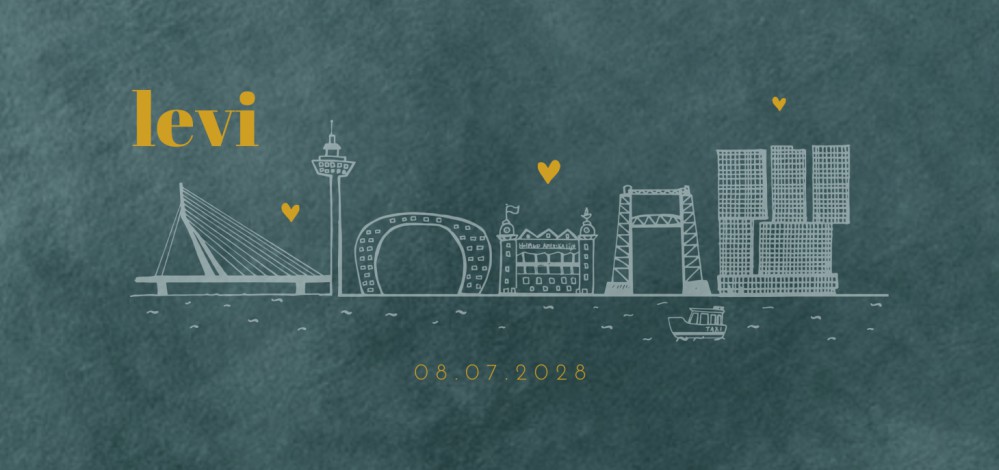 Geboortekaartje skyline Rotterdam velvet look - Levi