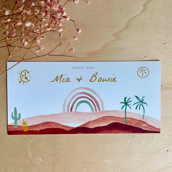 Geboortekaartje tweeling regenboog - Mia & Bowie