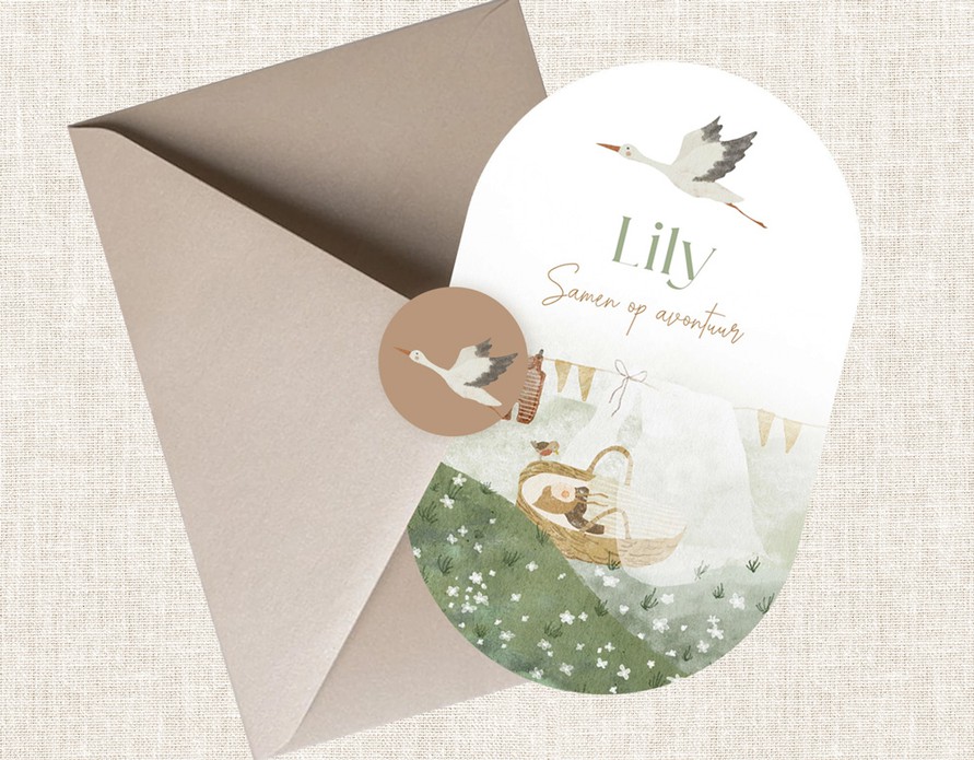 vintage geboortekaartje wiegje in het gras 