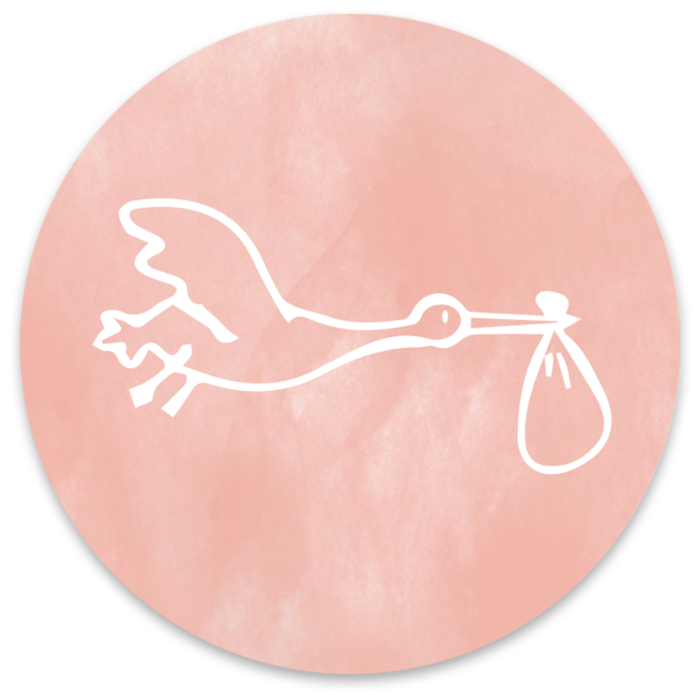 Sluitsticker ooievaar roze